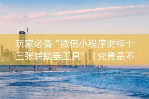 玩家必备“微信小程序财神十三张辅助器工具”（究竟是不是有挂)
