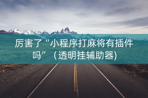厉害了“小程序打麻将有插件吗”（透明挂辅助器)