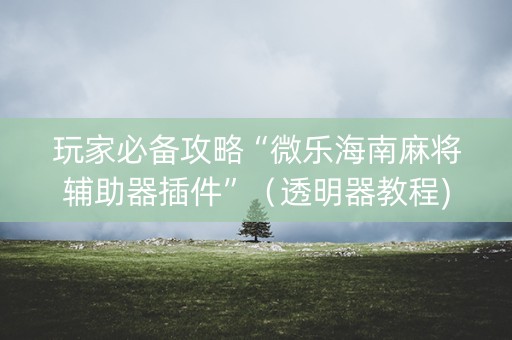玩家必备攻略“微乐海南麻将辅助器插件”（透明器教程)