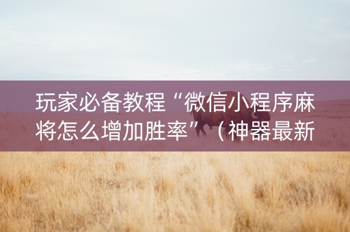 玩家必备教程“微信小程序麻将怎么增加胜率”（神器最新免费)