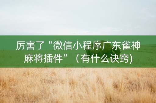 厉害了“微信小程序广东雀神麻将插件”（有什么诀窍)