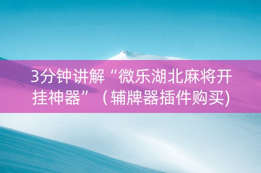 3分钟讲解“微乐湖北麻将开挂神器”（辅牌器插件购买)