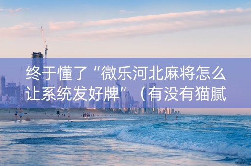 终于懂了“微乐河北麻将怎么让系统发好牌”（有没有猫腻)