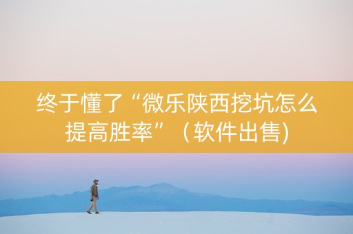 终于懂了“微乐陕西挖坑怎么提高胜率”（软件出售)