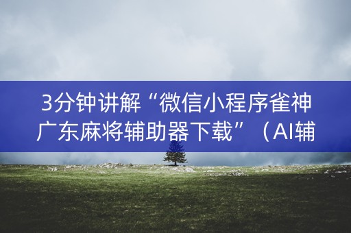 3分钟讲解“微信小程序雀神广东麻将辅助器下载”（AI辅助胡牌规则)