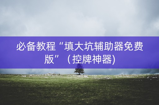 必备教程“填大坑辅助器免费版”（控牌神器)