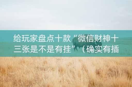 给玩家盘点十款“微信财神十三张是不是有挂”（确实有插件吗)
