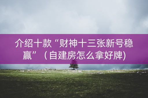 介绍十款“财神十三张新号稳赢”（自建房怎么拿好牌)