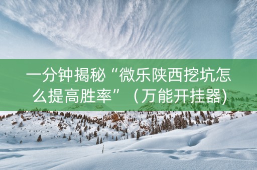 一分钟揭秘“微乐陕西挖坑怎么提高胜率”（万能开挂器)