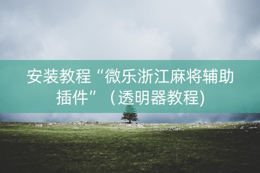 安装教程“微乐浙江麻将辅助插件”（透明器教程)