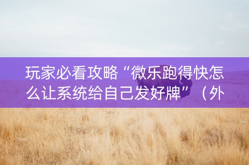 玩家必看攻略“微乐跑得快怎么让系统给自己发好牌”（外辅工具)