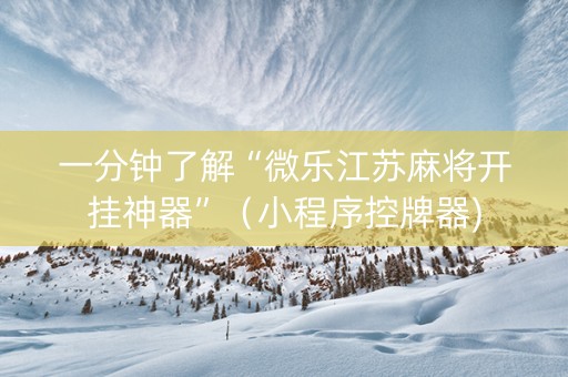 一分钟了解“微乐江苏麻将开挂神器”（小程序控牌器)