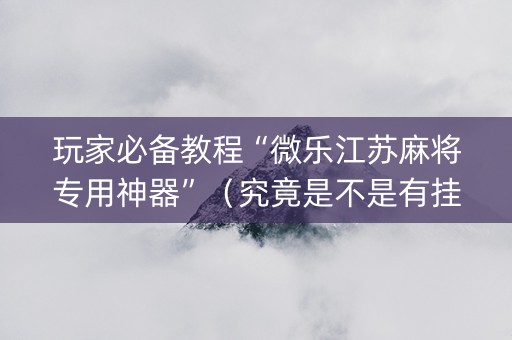 玩家必备教程“微乐江苏麻将专用神器”（究竟是不是有挂)