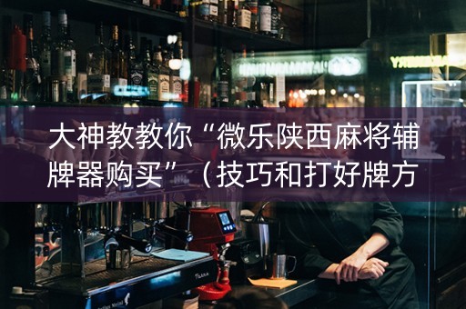 大神教教你“微乐陕西麻将辅牌器购买”（技巧和打好牌方法)