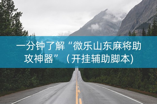 一分钟了解“微乐山东麻将助攻神器”（开挂辅助脚本)