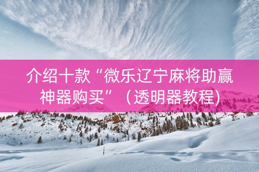 介绍十款“微乐辽宁麻将助赢神器购买”（透明器教程)