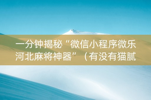 一分钟揭秘“微信小程序微乐河北麻将神器”（有没有猫腻)