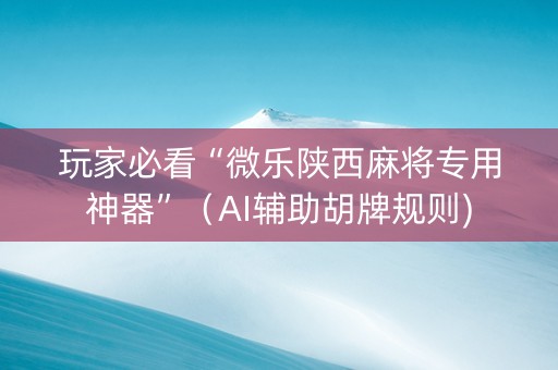 玩家必看“微乐陕西麻将专用神器”（AI辅助胡牌规则)