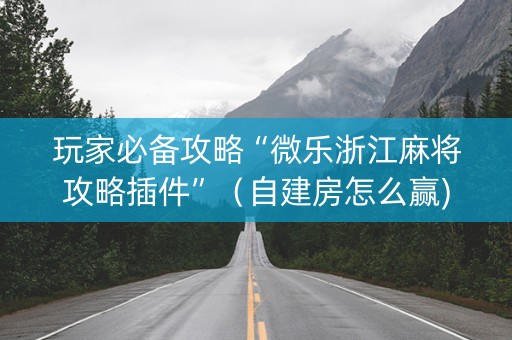 玩家必备攻略“微乐浙江麻将攻略插件”（自建房怎么赢)