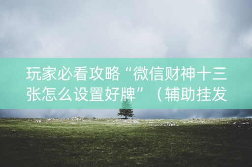 玩家必看攻略“微信财神十三张怎么设置好牌”（辅助挂发牌规律)