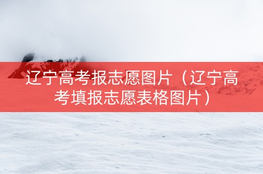 辽宁高考报志愿图片（辽宁高考填报志愿表格图片）