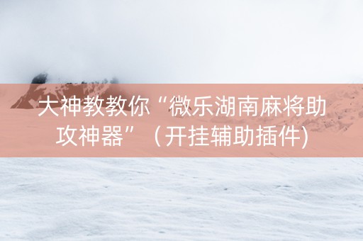 大神教教你“微乐湖南麻将助攻神器”（开挂辅助插件)