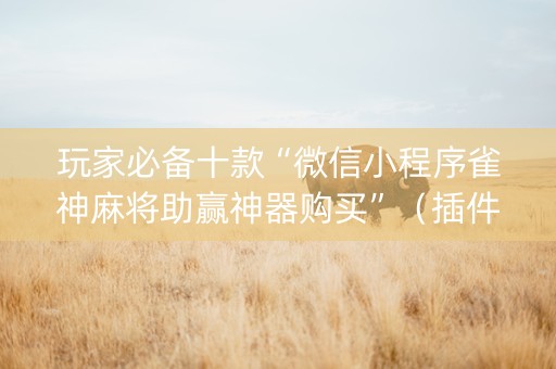玩家必备十款“微信小程序雀神麻将助赢神器购买”（插件开挂免费AI)