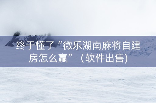 终于懂了“微乐湖南麻将自建房怎么赢”（软件出售)