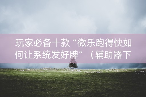 玩家必备十款“微乐跑得快如何让系统发好牌”（辅助器下载)