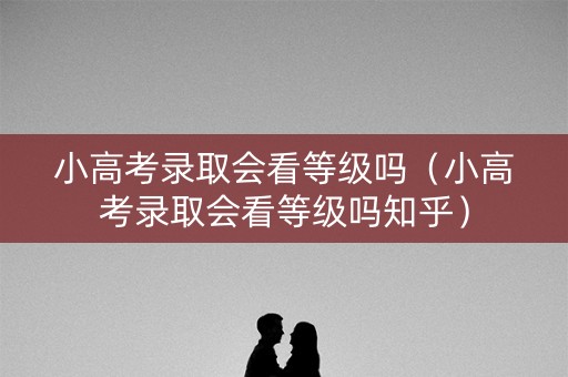 小高考录取会看等级吗（小高考录取会看等级吗知乎）