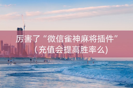 厉害了“微信雀神麻将插件”（充值会提高胜率么)