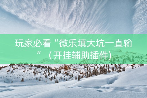 玩家必看“微乐填大坑一直输”（开挂辅助插件)