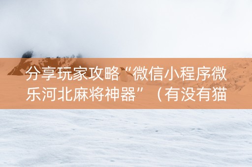 分享玩家攻略“微信小程序微乐河北麻将神器”（有没有猫腻)