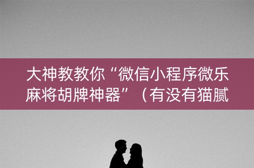 大神教教你“微信小程序微乐麻将胡牌神器”（有没有猫腻)