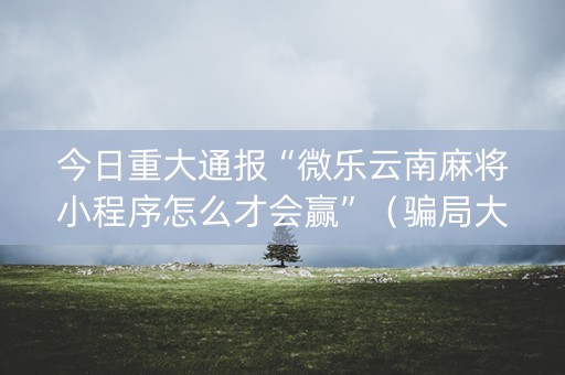 今日重大通报“微乐云南麻将小程序怎么才会赢”（骗局大揭秘)