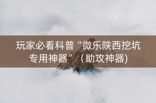 玩家必看科普“微乐陕西挖坑专用神器”（助攻神器)