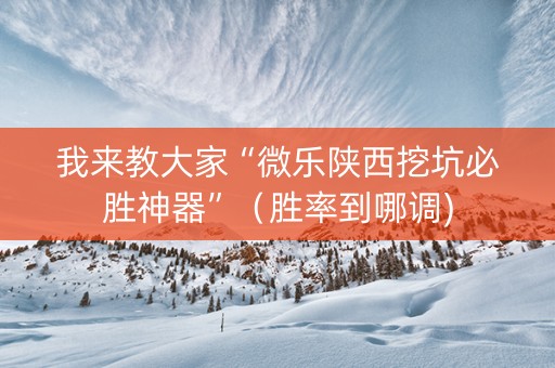 我来教大家“微乐陕西挖坑必胜神器”（胜率到哪调)
