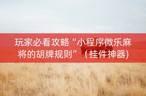 玩家必看攻略“小程序微乐麻将的胡牌规则”（挂件神器)