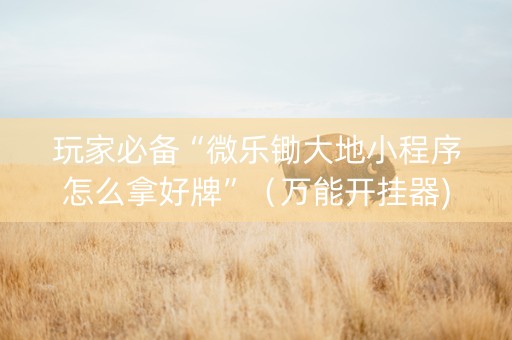 玩家必备“微乐锄大地小程序怎么拿好牌”（万能开挂器)