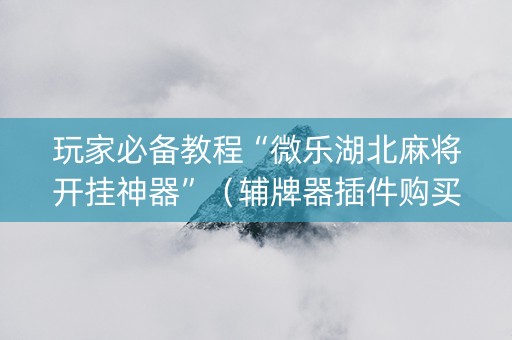 玩家必备教程“微乐湖北麻将开挂神器”（辅牌器插件购买)