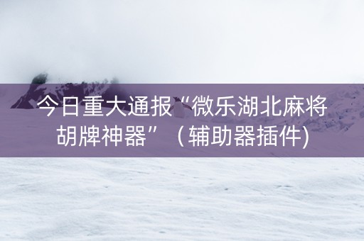 今日重大通报“微乐湖北麻将胡牌神器”（辅助器插件)