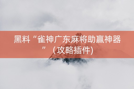 黑料“雀神广东麻将助赢神器”（攻略插件)