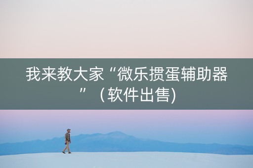 我来教大家“微乐掼蛋辅助器”（软件出售)