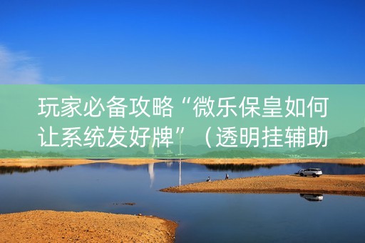 玩家必备攻略“微乐保皇如何让系统发好牌”（透明挂辅助器)
