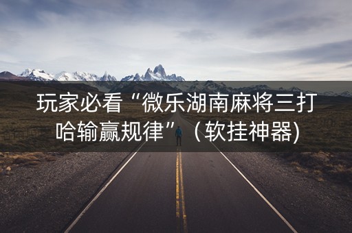 玩家必看“微乐湖南麻将三打哈输赢规律”（软挂神器)