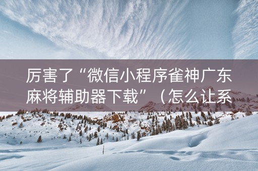 厉害了“微信小程序雀神广东麻将辅助器下载”（怎么让系统给你发好牌)