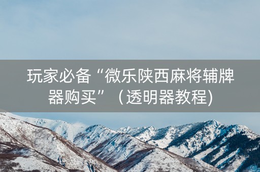 玩家必备“微乐陕西麻将辅牌器购买”（透明器教程)
