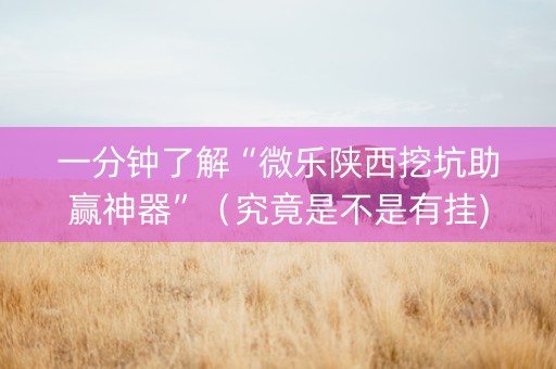 一分钟了解“微乐陕西挖坑助赢神器”（究竟是不是有挂)