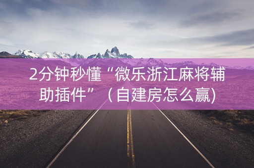 2分钟秒懂“微乐浙江麻将辅助插件”（自建房怎么赢)