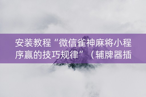 安装教程“微信雀神麻将小程序赢的技巧规律”（辅牌器插件购买)